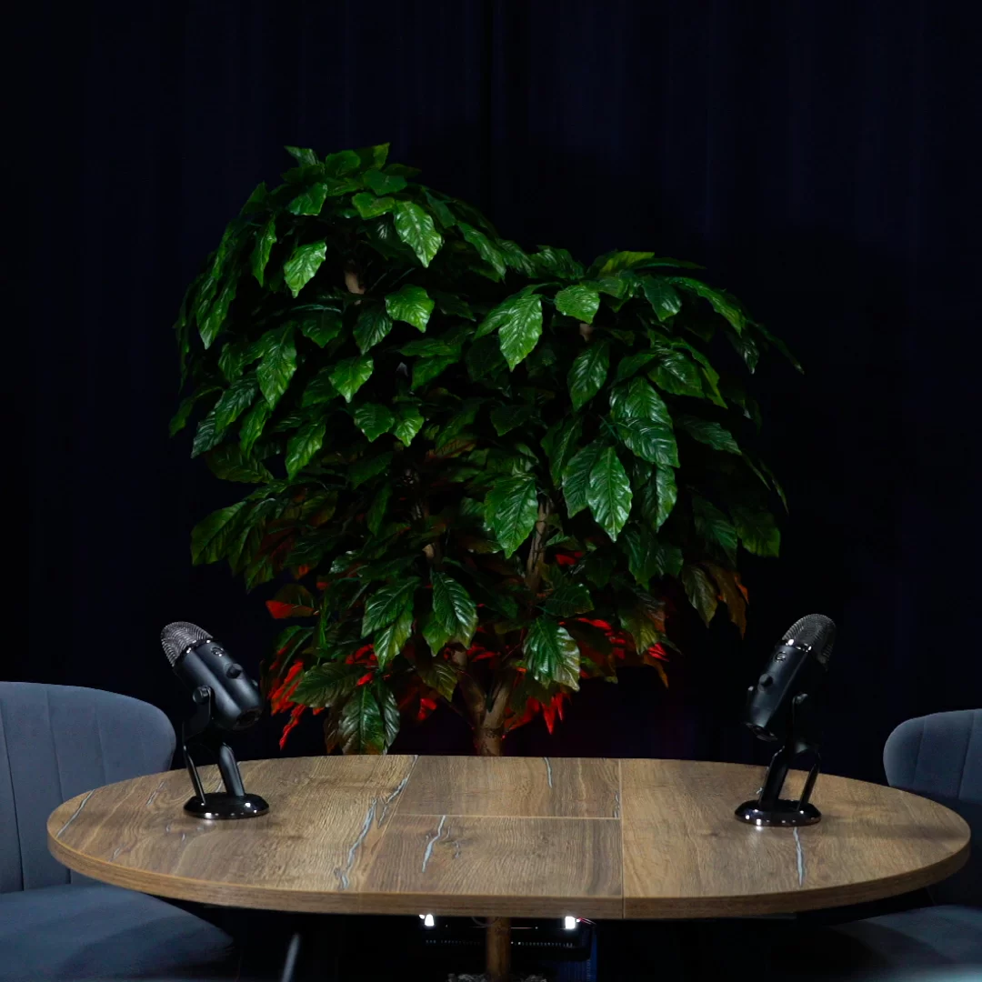 видео студия Alfa IT Studio